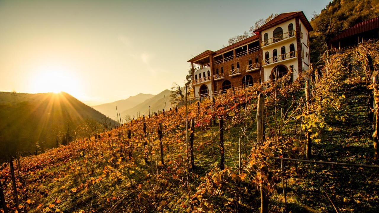 Hotel Chateau Iveri Varjanisi Esterno foto