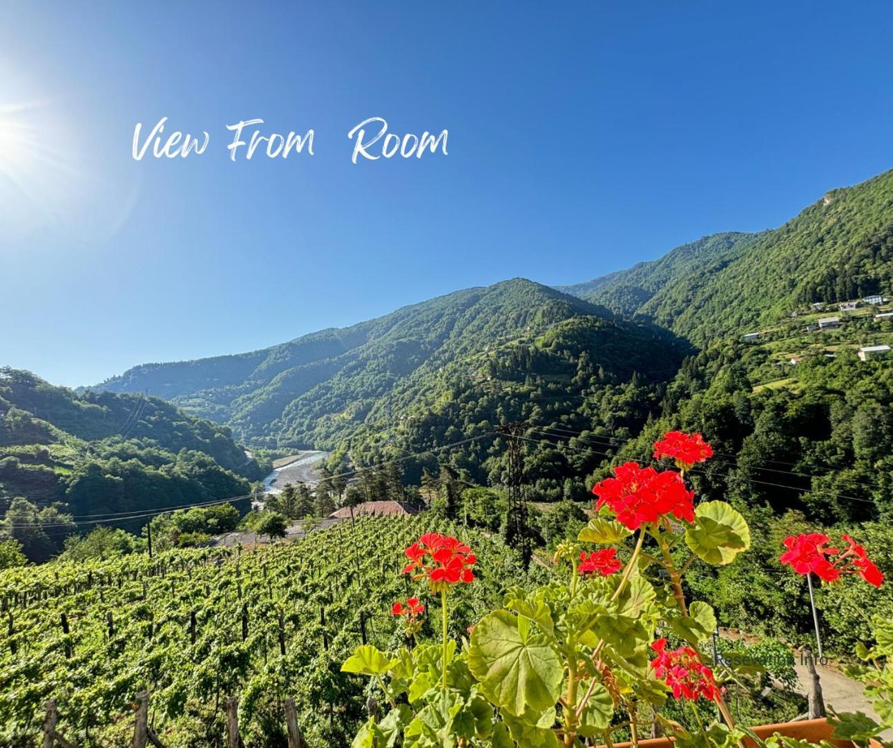 Hotel Chateau Iveri Varjanisi Esterno foto